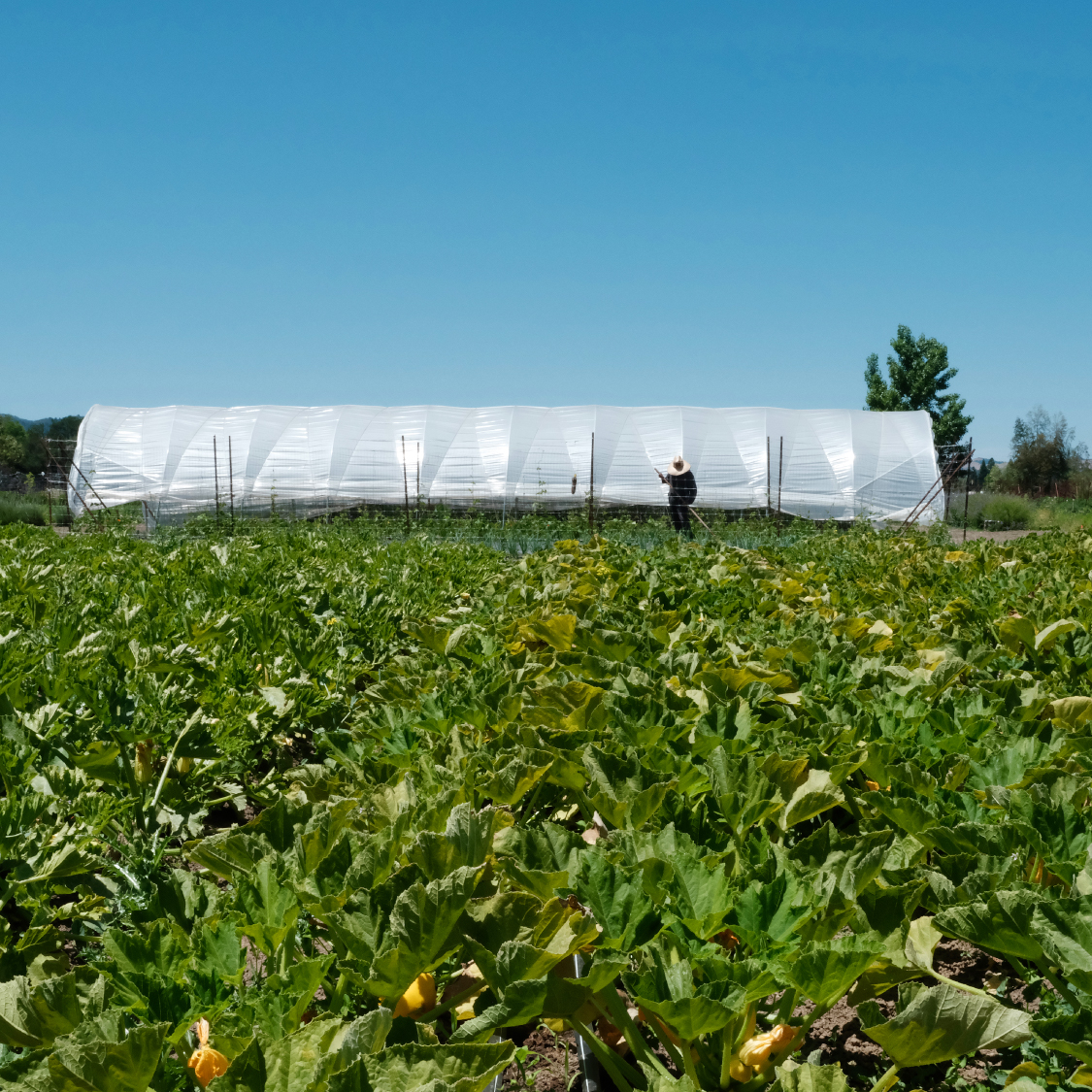 farm-slide1-1mp